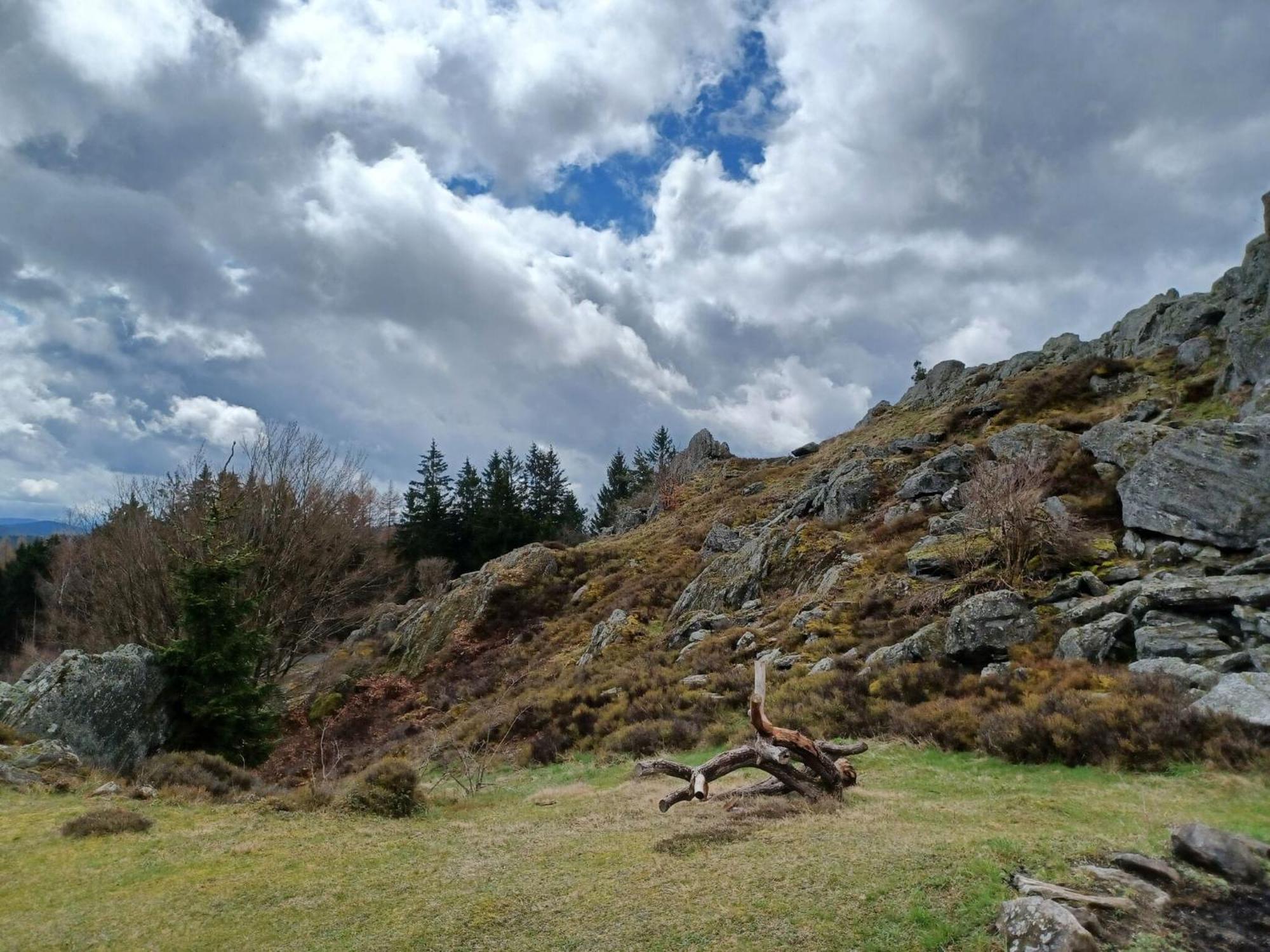 Holiday Home Near The Ski Slope Stadlern المظهر الخارجي الصورة